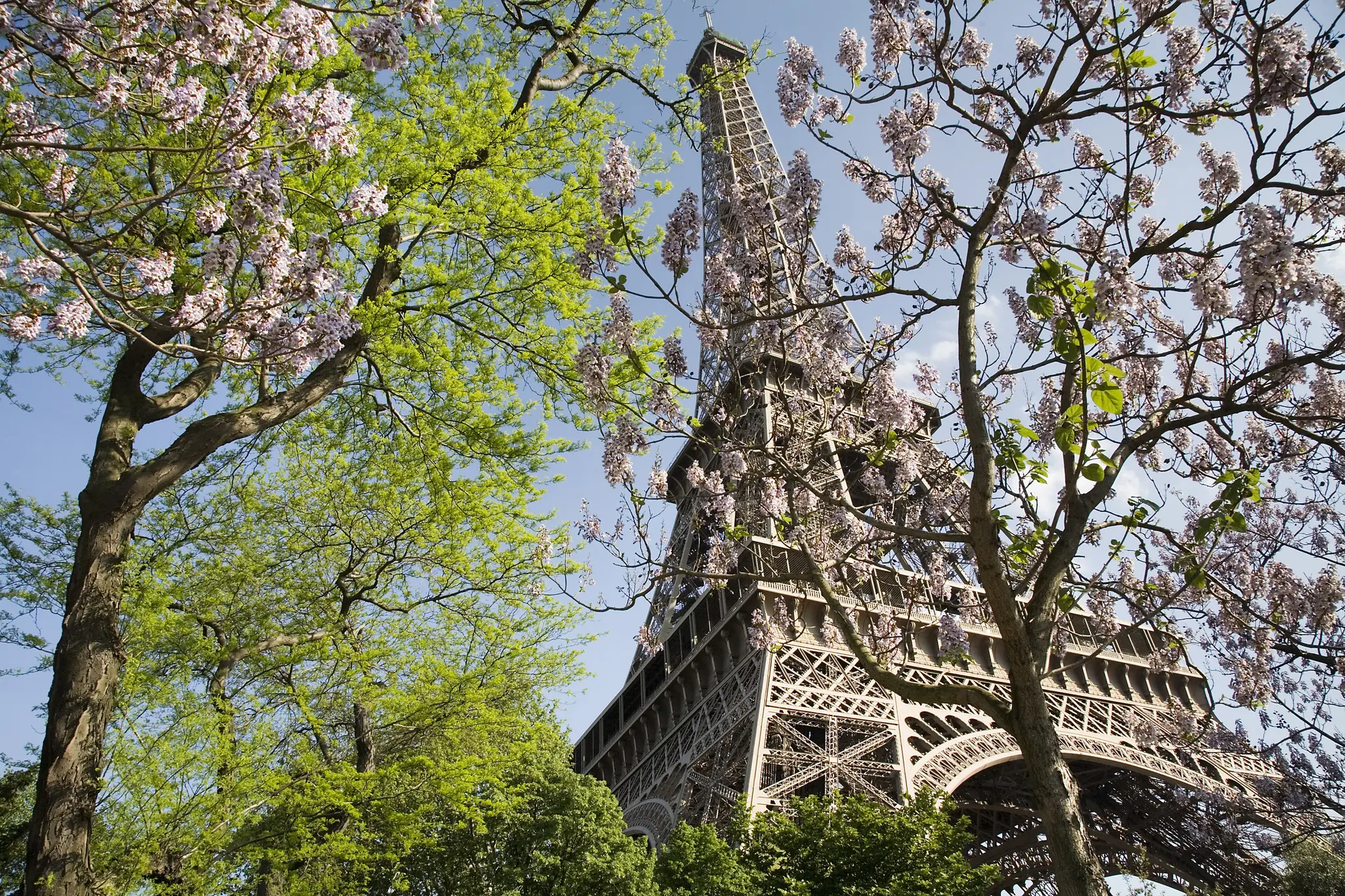 Eiffel Tower, Paris, France