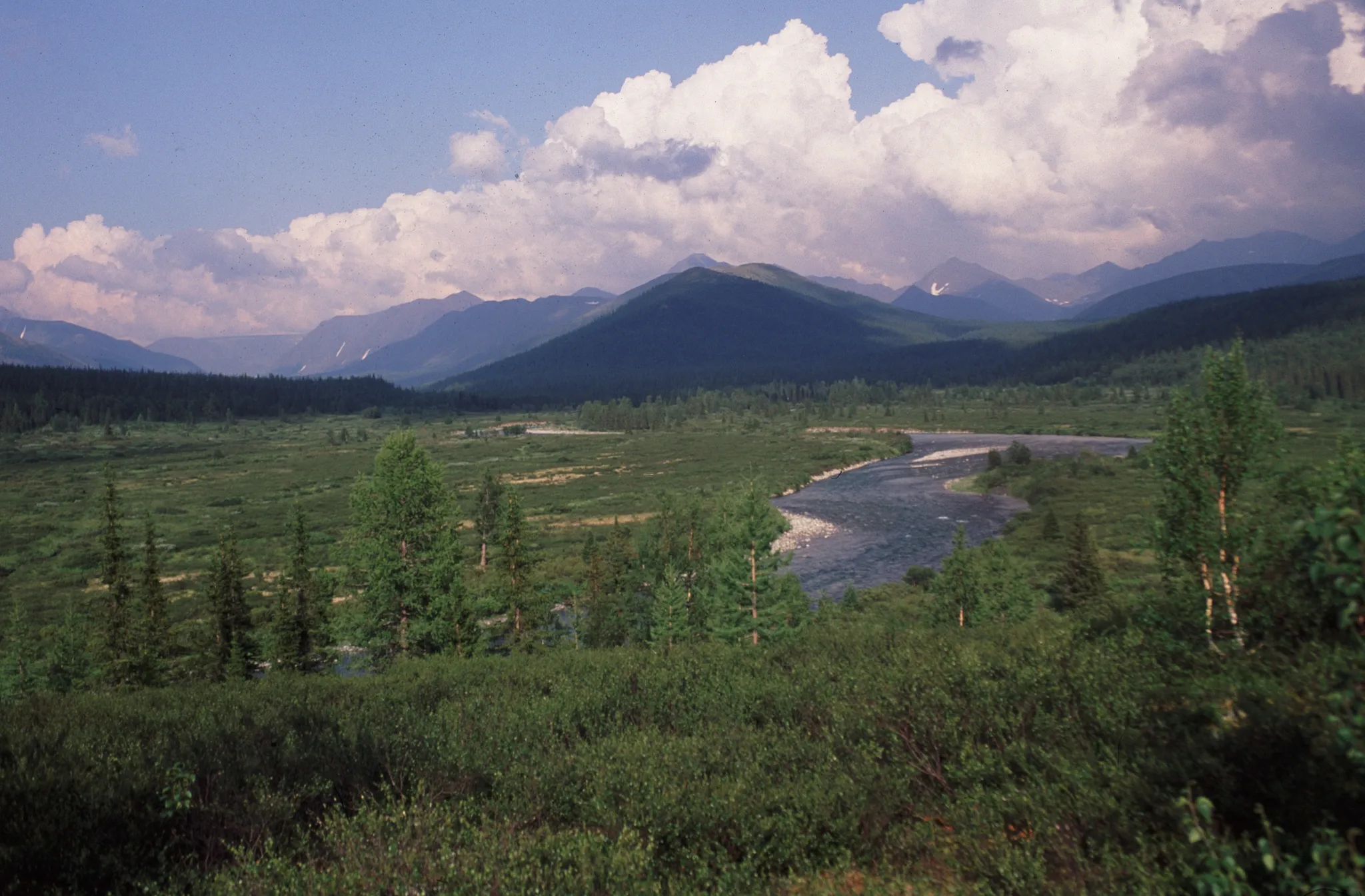 Virgin Komi Forests, Russia