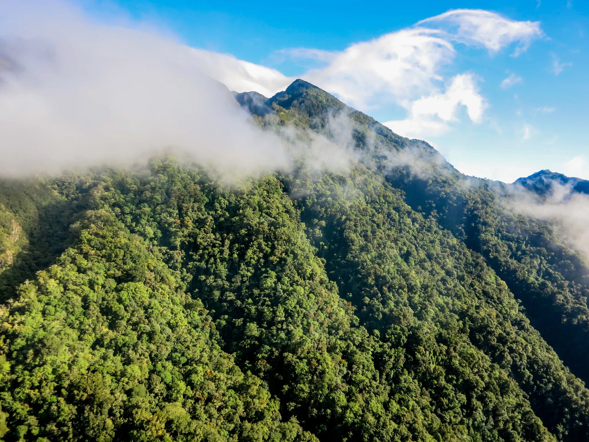 Volcan Baru, Panama
