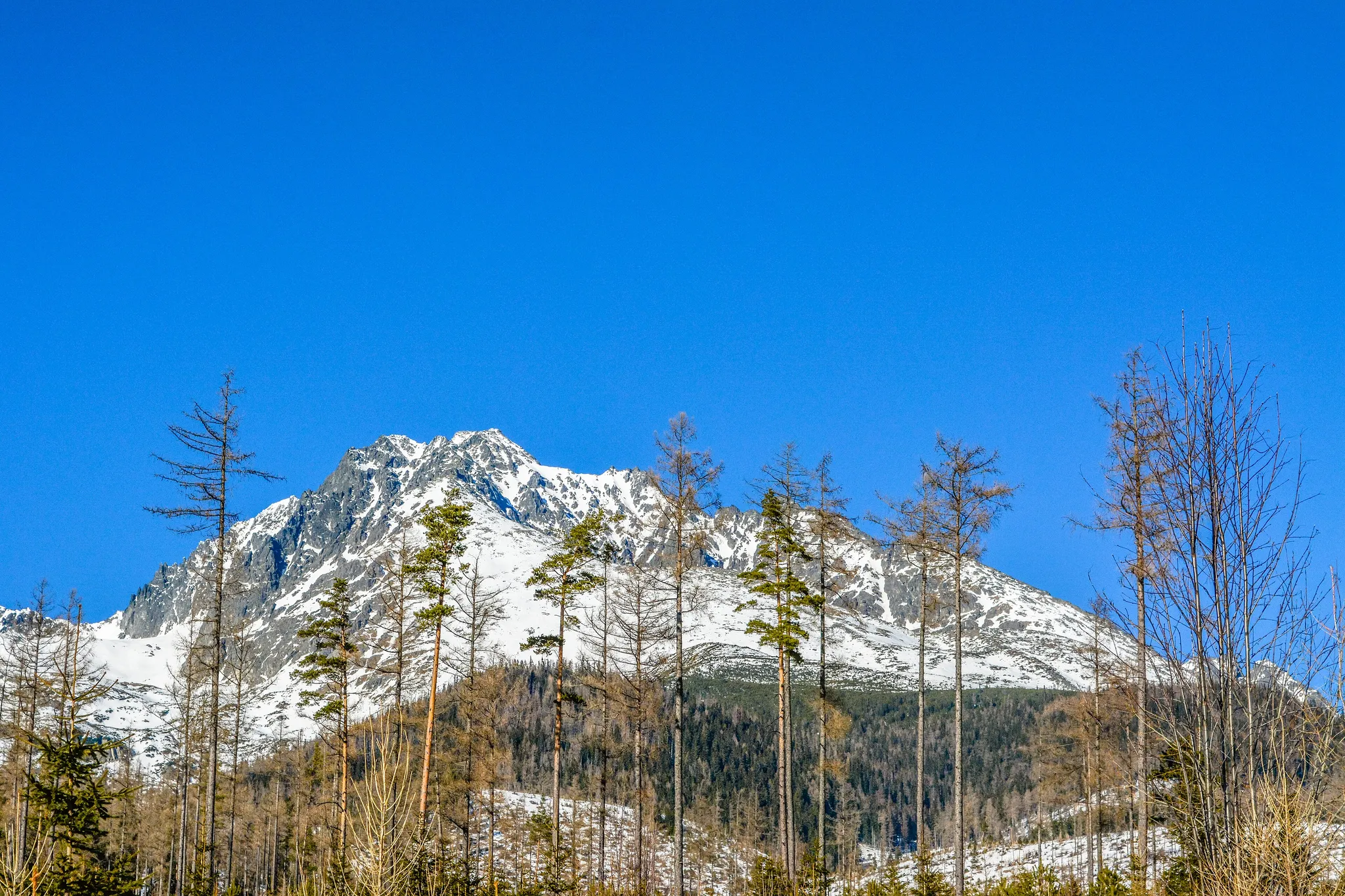 Gerlachovský štít, Slovakia
