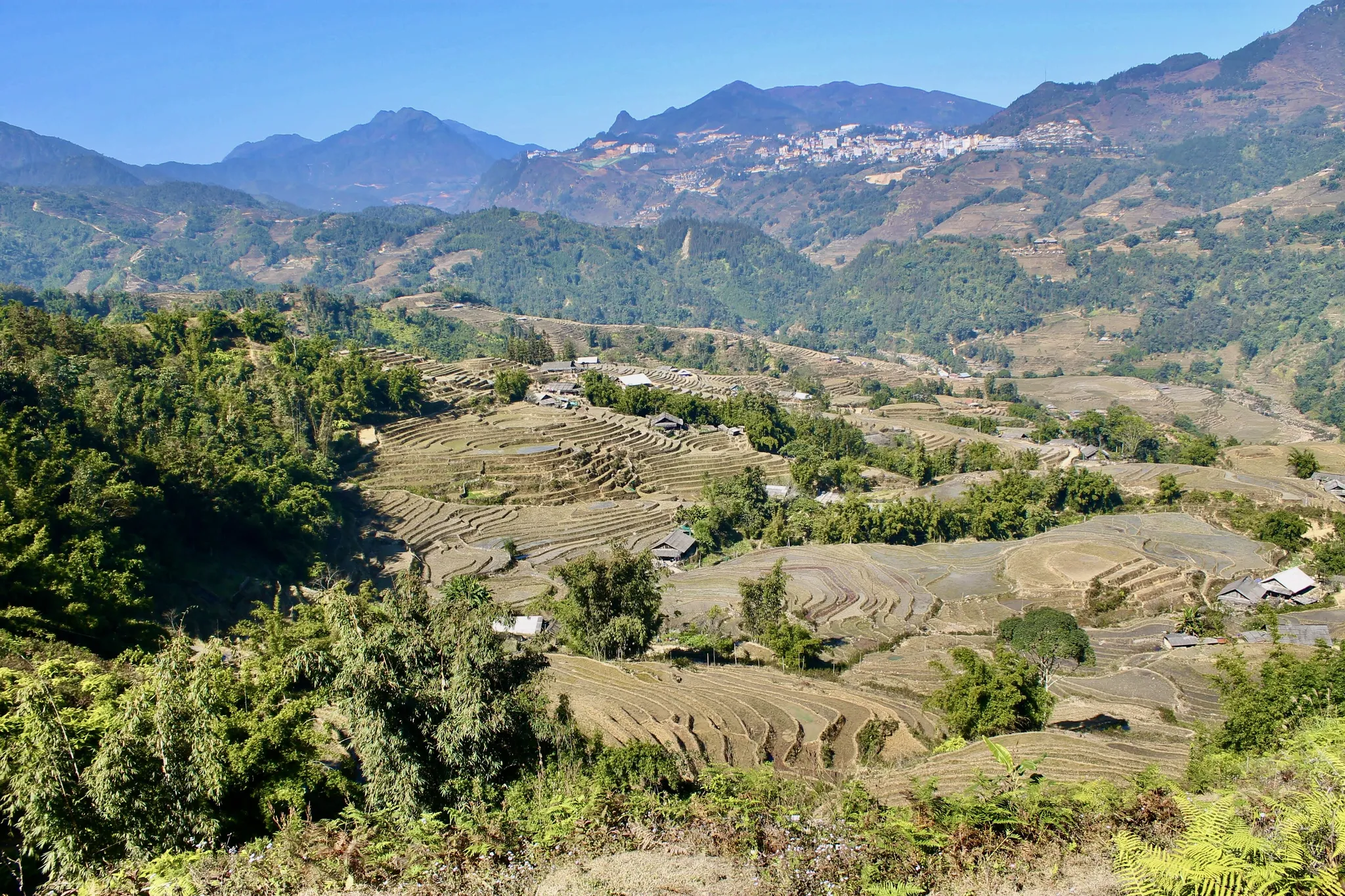 Sa Pa Rice Terraces, Vietnam