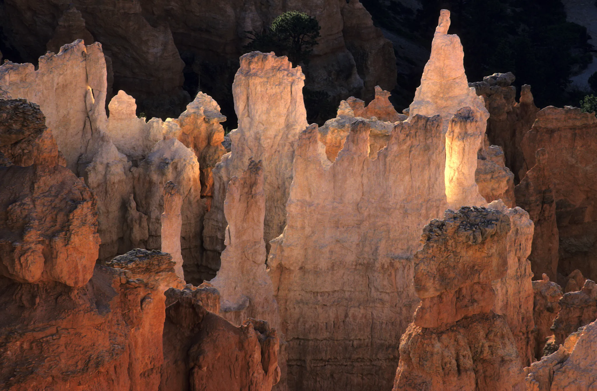 Bryce Canyon, USA