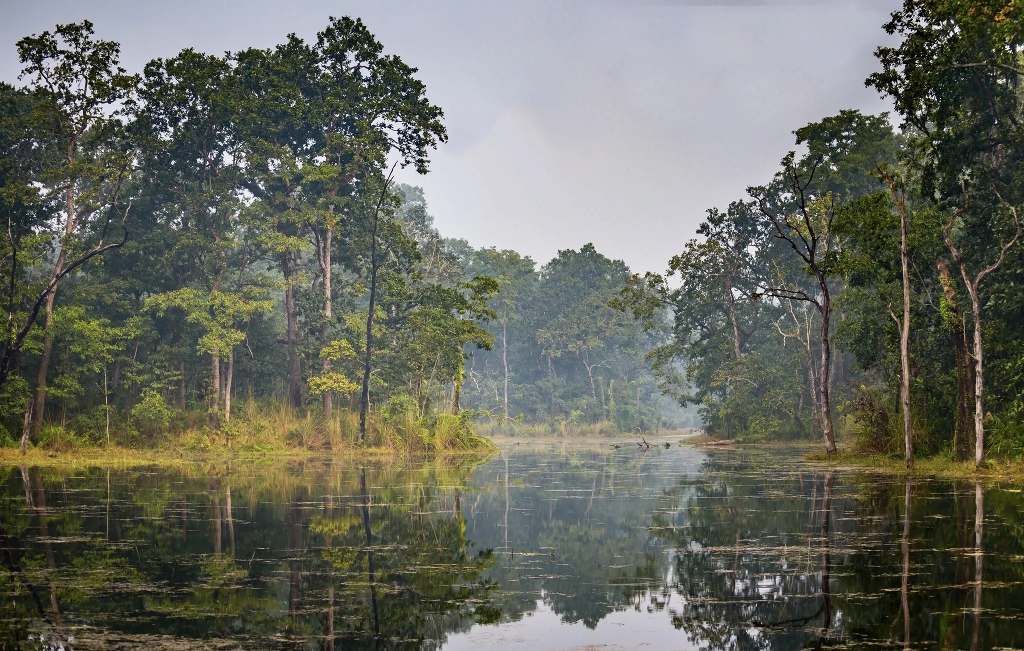 Chitwan National Park, Nepal