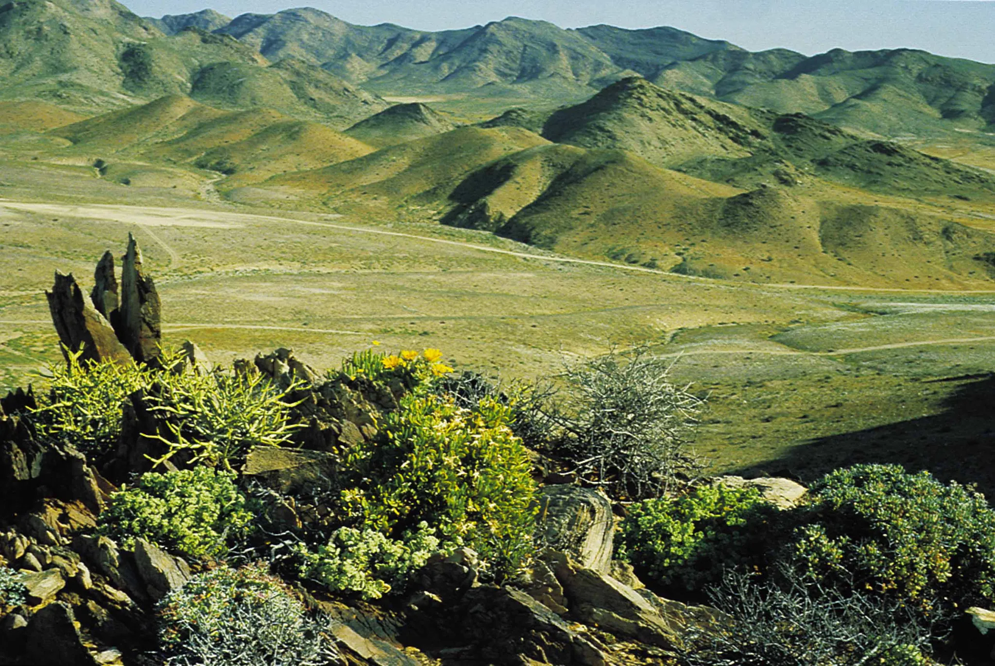 Richtersveld, South Africa