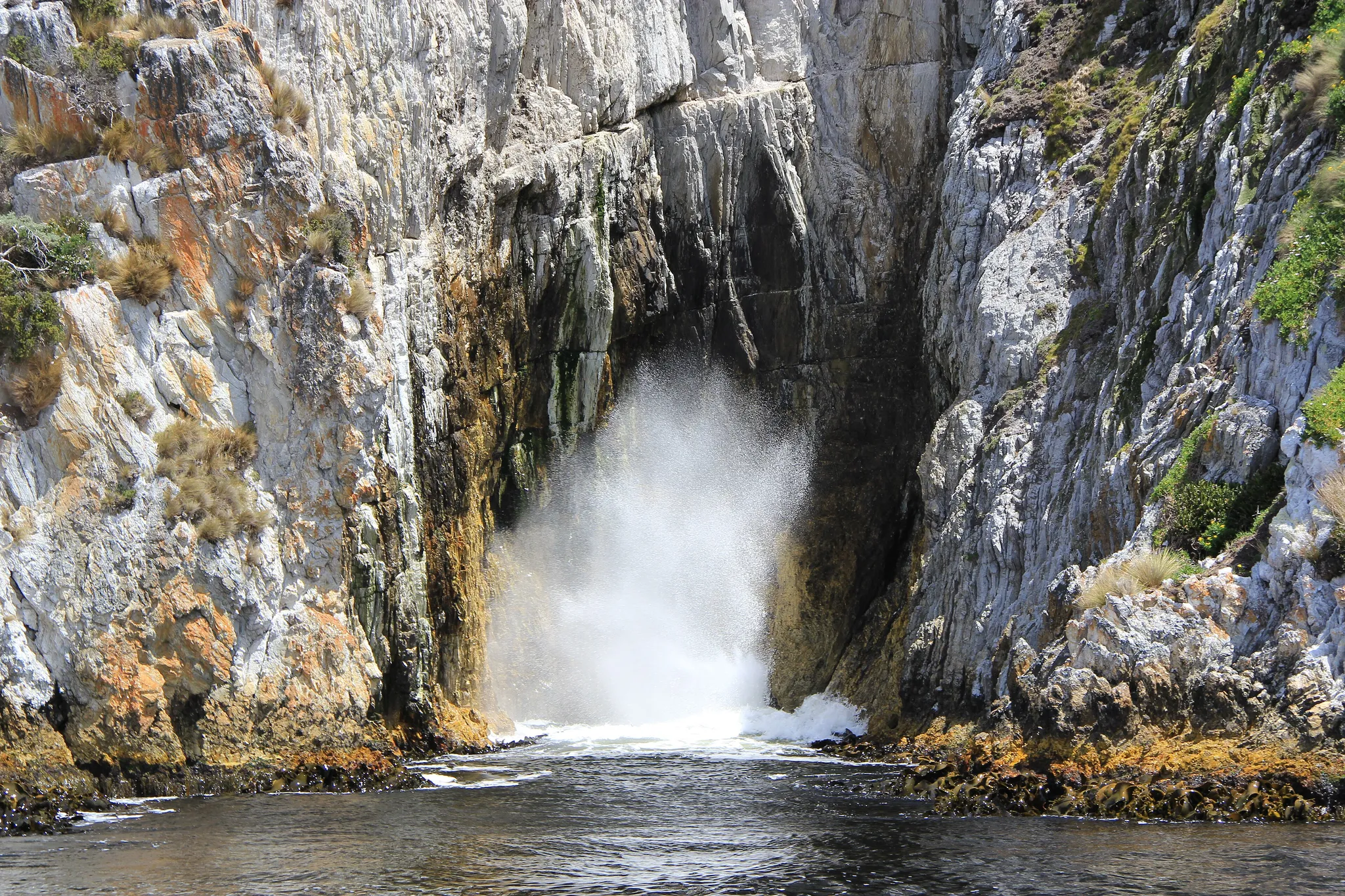 Tasmanian Wilderness, Australia
