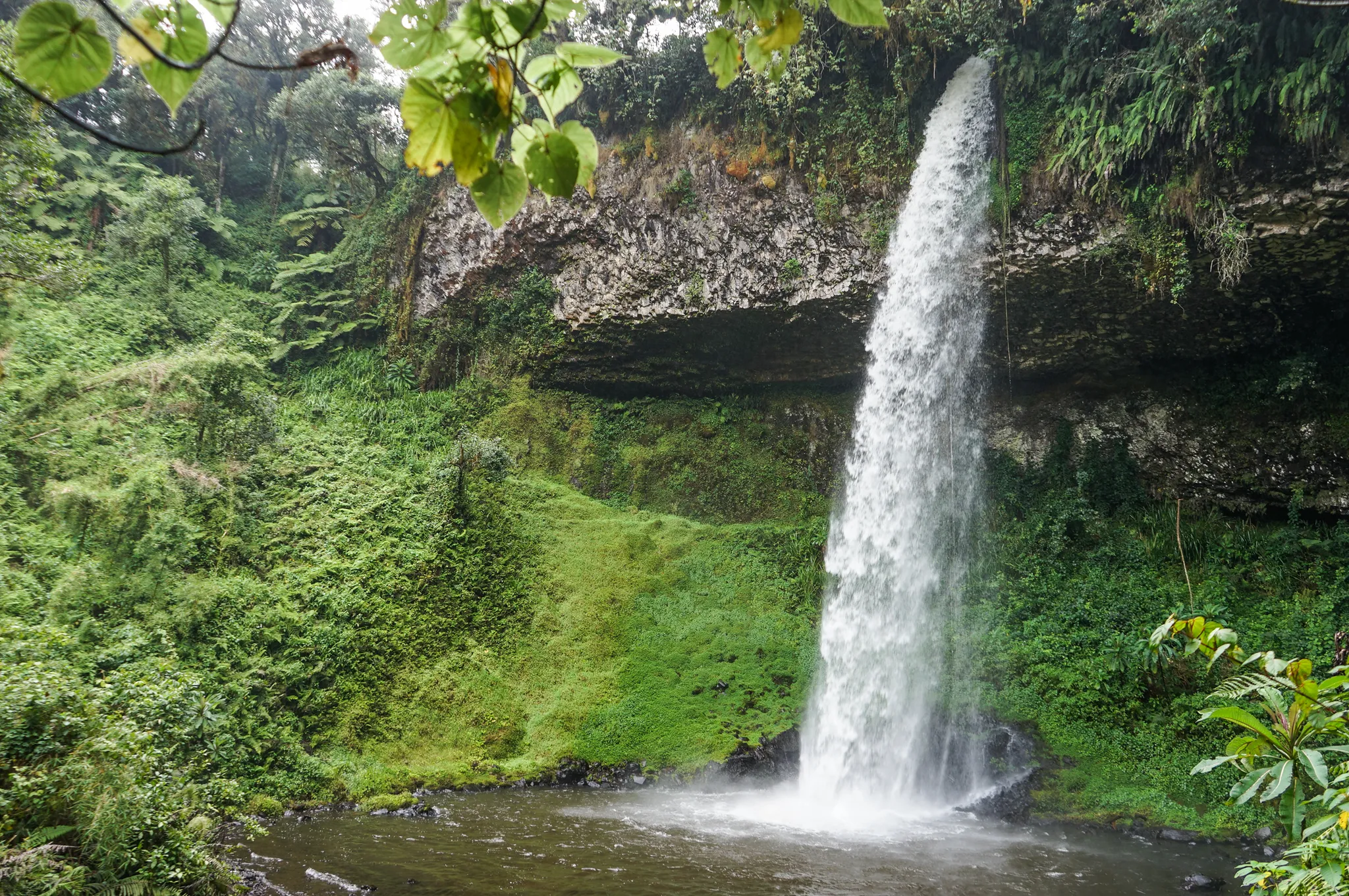 Mount Kenya National Park, Kenya