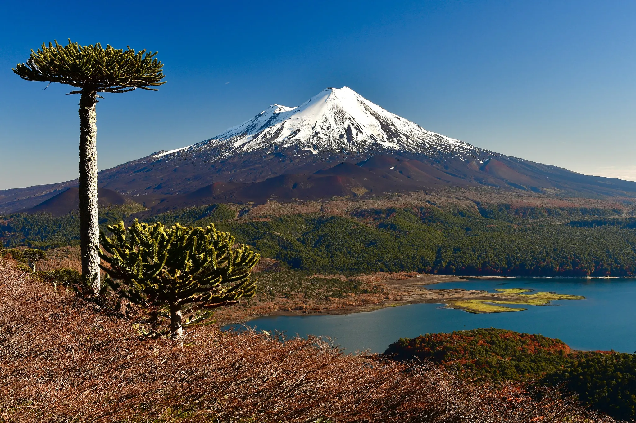 Llaima, Chile