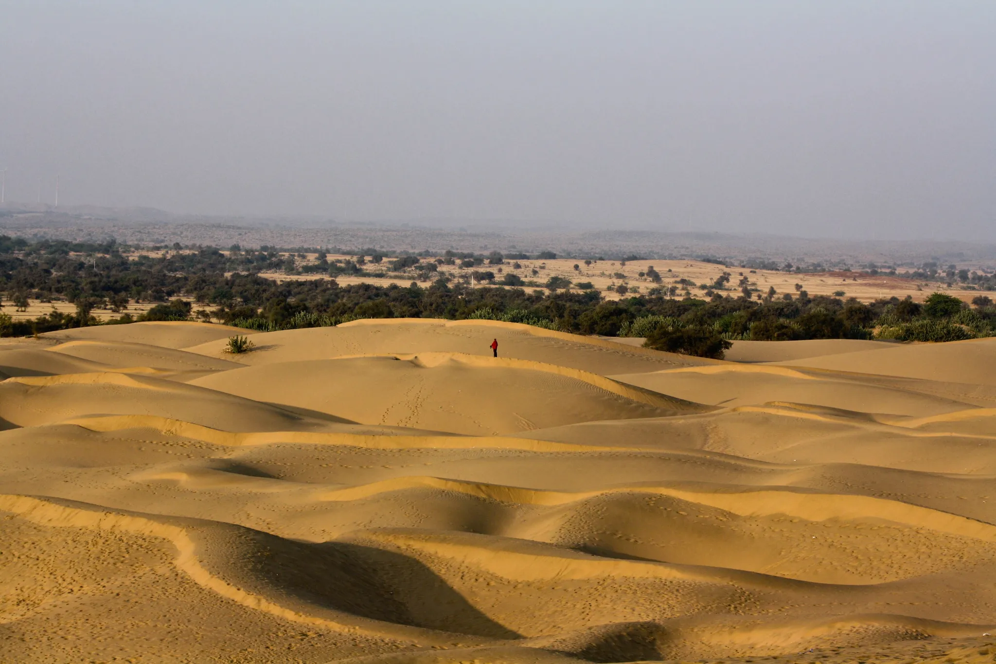Thar Desert, India