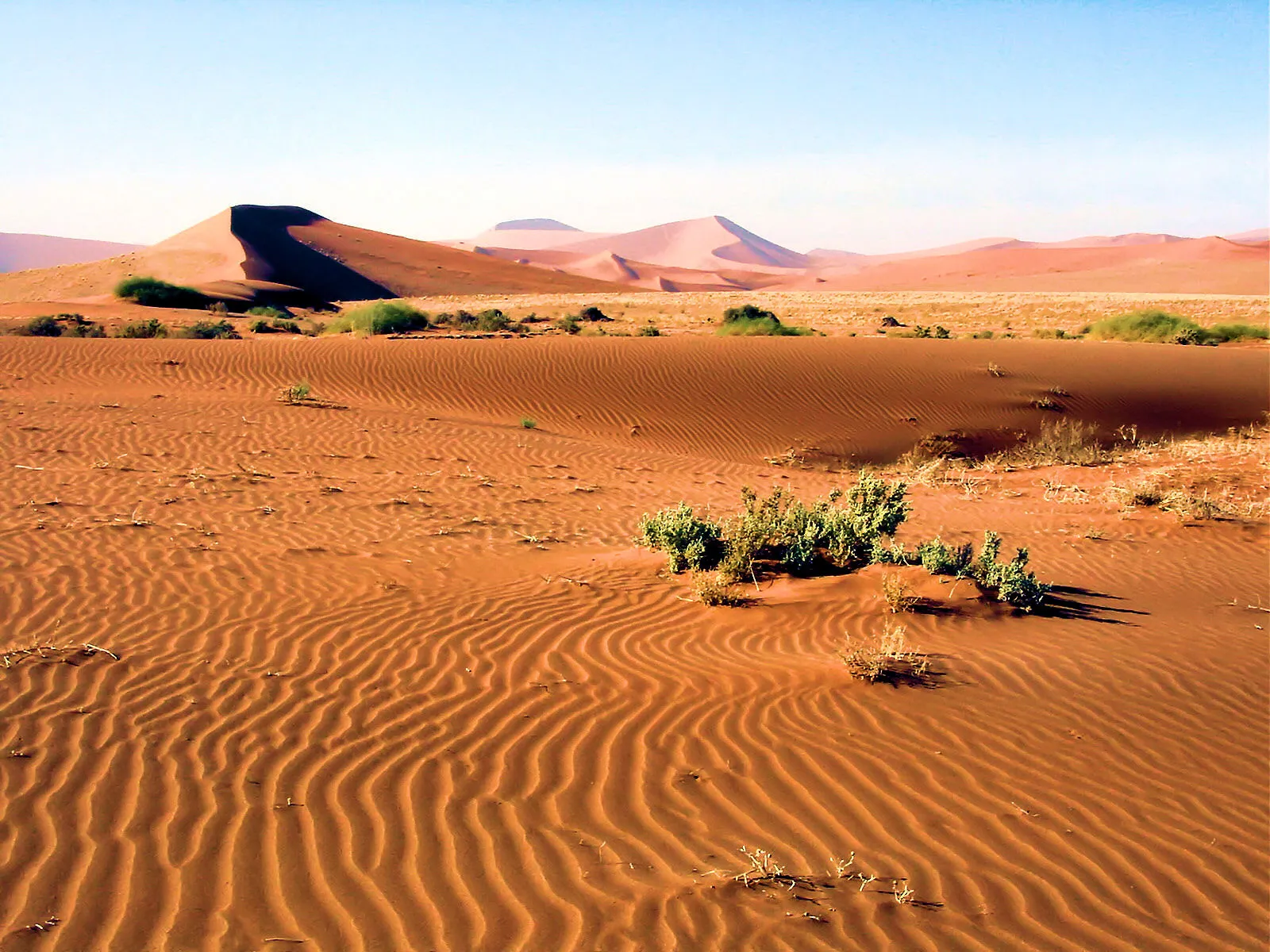 Namib-Naukluft National Park, Namibia