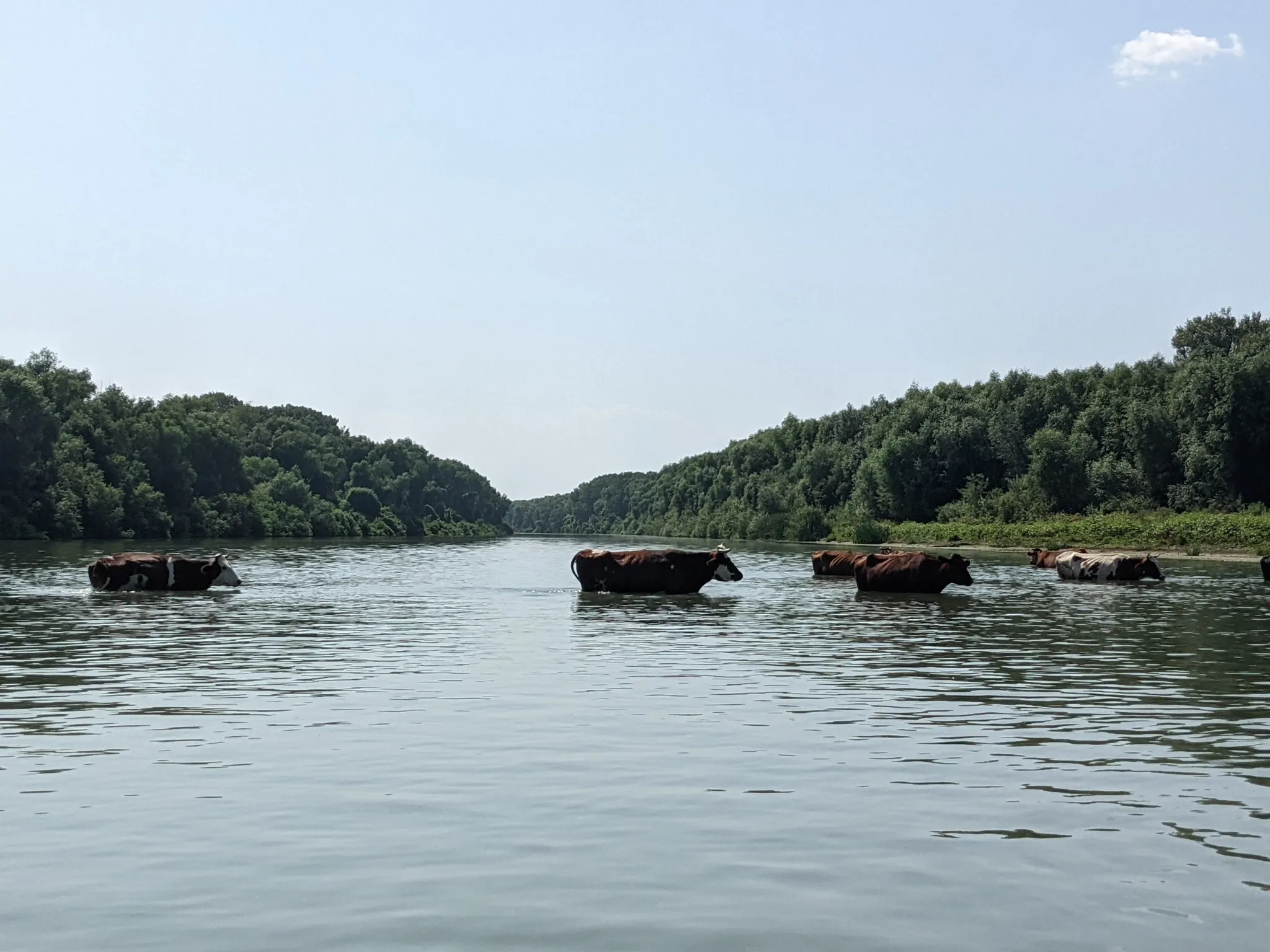Danube Delta, Ukraine