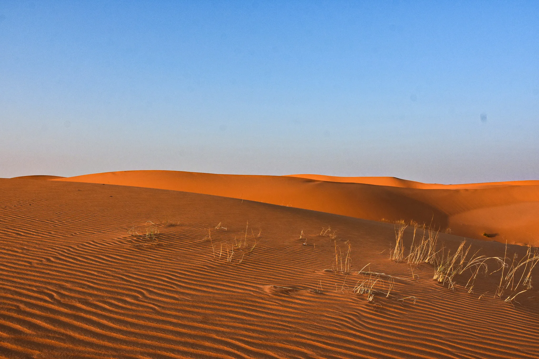 ad-Dahna Desert, Saudi Arabia