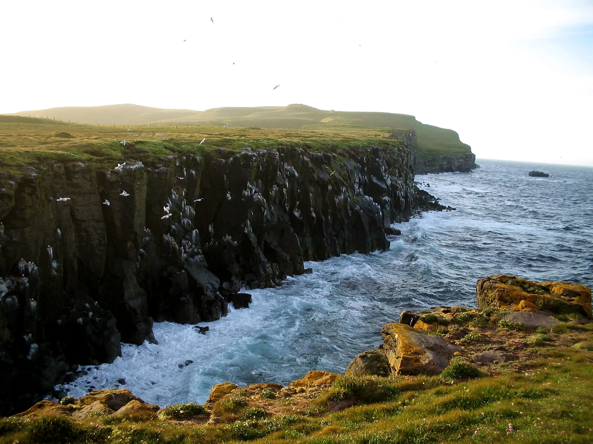 Grímsey, Iceland