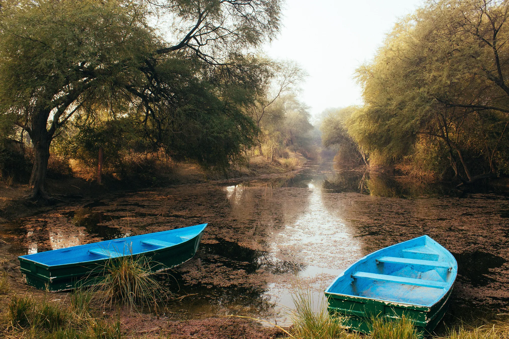 Kevladev National Park, India
