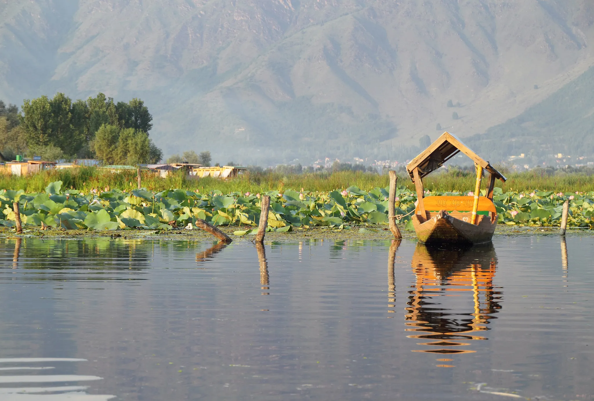 Dal Lake, India
