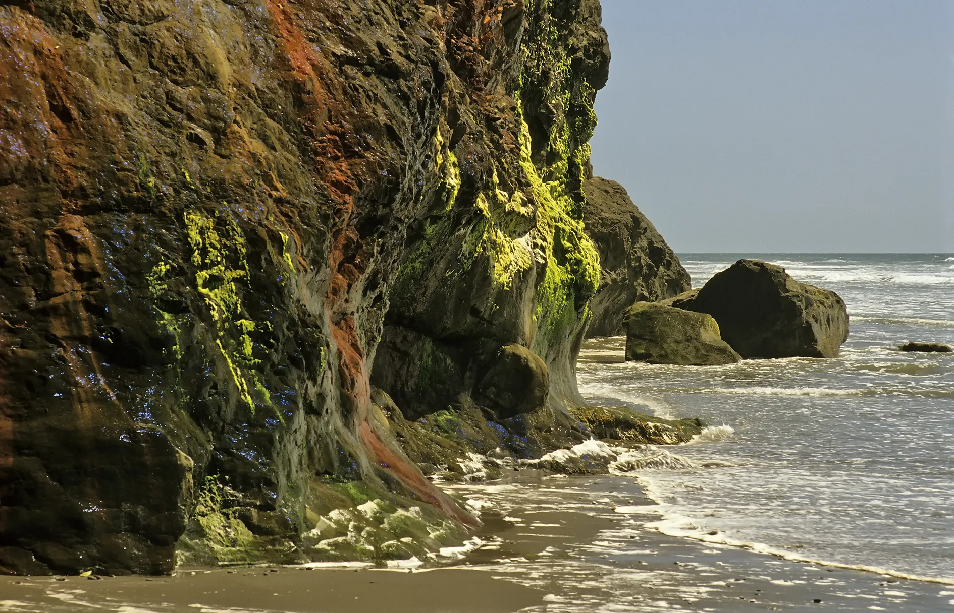 Olympic National Park, United States