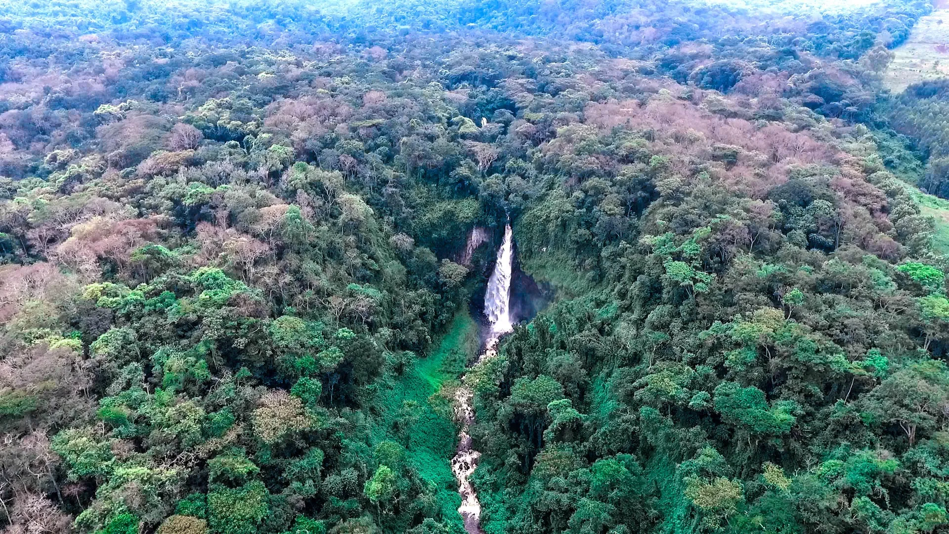 Kahuzi-Biéga National Park, DR Congo