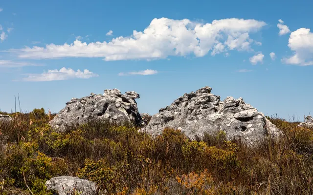 Tafelberg, Kapstadt, Südafrika