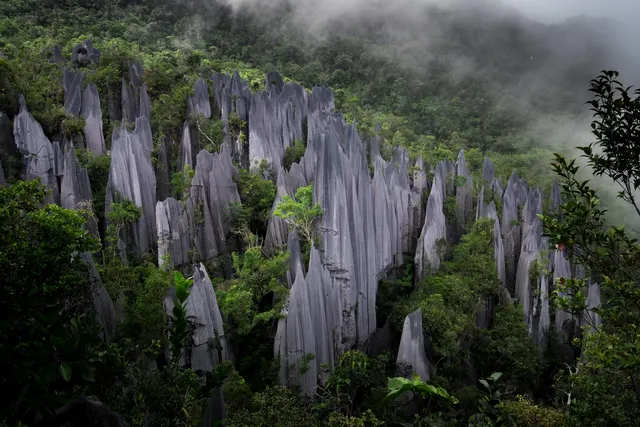 Parque nacional de Gunung Mulu, Malasia