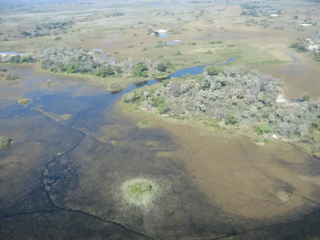 Okavango Delta, Botswana