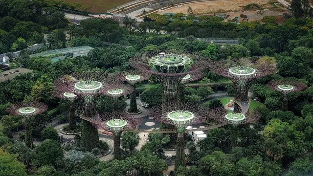 Gardens by the Bay, Σιγκαπούρη