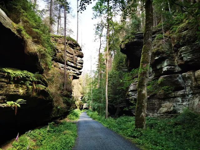 Schweizerischer Nationalpark, Schweiz