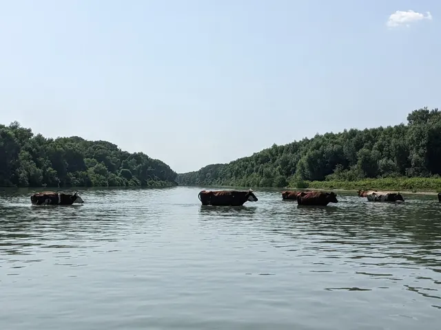 Donaudelta, Ukraine