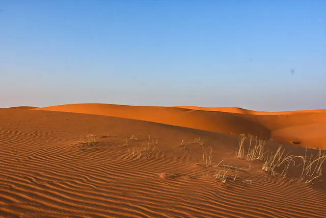 ad-Dahna Desert, Saudi-Arabien