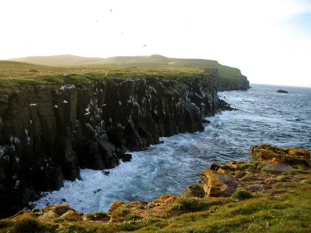 Grímsey, Island