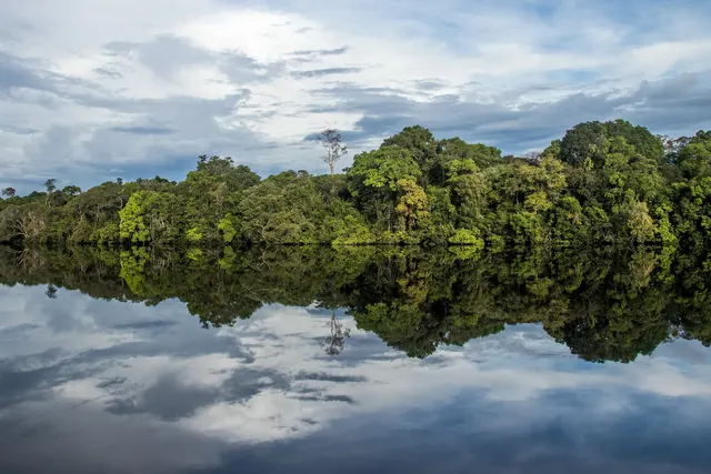 Nationalpark Jaú, Brasilien