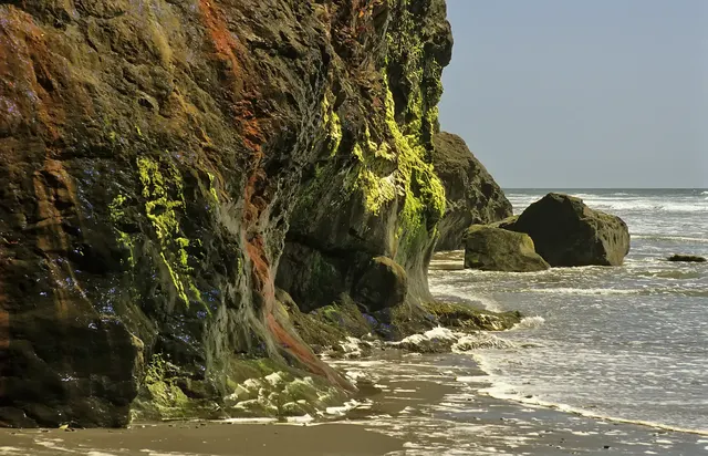 Parque nacional Olympic, Estados Unidos