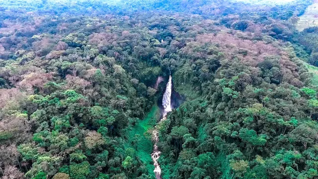Nationalpark Kahuzi-Biéga, Demokratische Republik Kongo