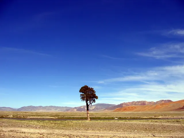Mongolisches Plateau, Russland
