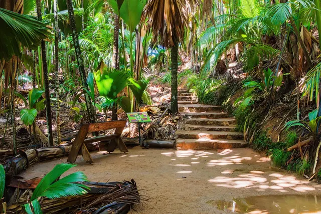Vallée de Mai, Seychelles